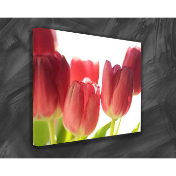 Hallway Decoration Wall Picture Modern Flower Oil Painting